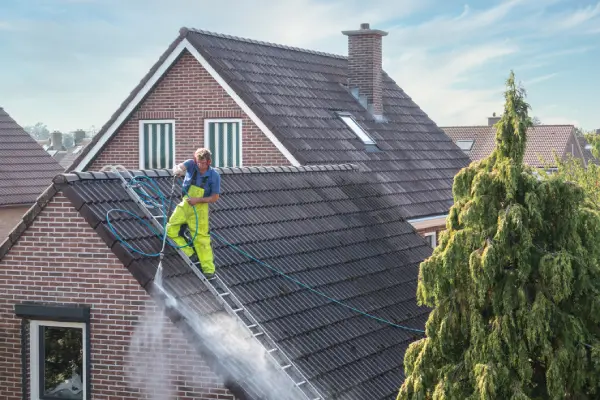 Gutter Cleaning